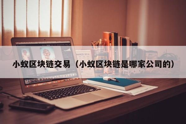 小蚁区块链交易(小蚁区块链是哪家公司的)