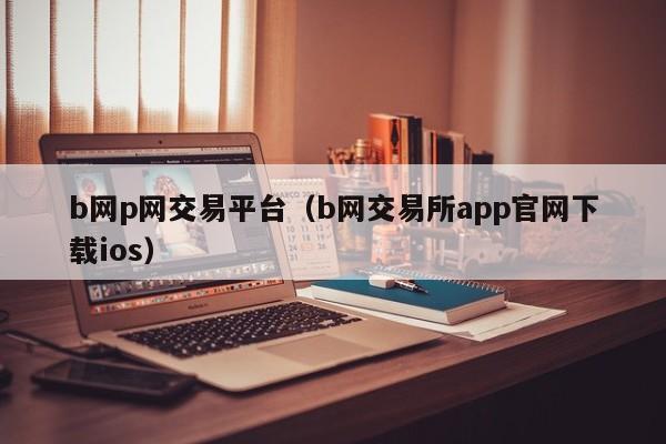 b网p网交易平台(b网交易所app官网下载ios)