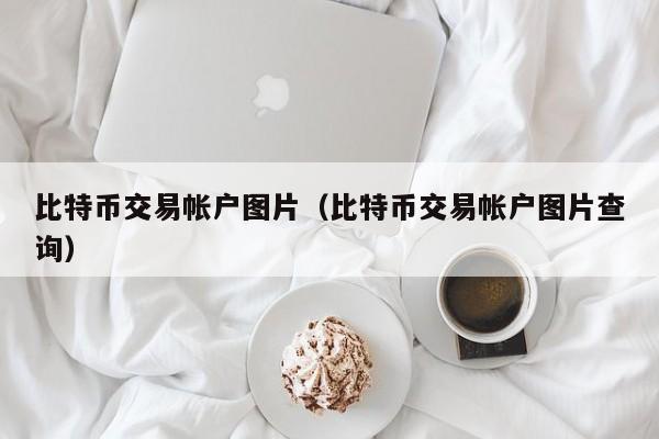 比特币交易帐户图片(比特币交易帐户图片查询)