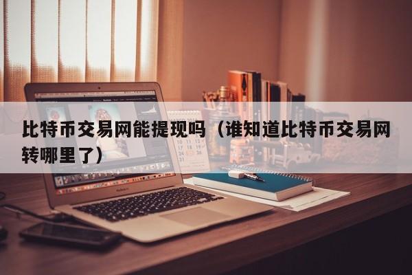 比特币交易网能提现吗(谁知道比特币交易网转哪里了)