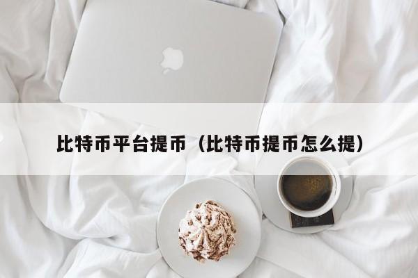 比特币平台提币(比特币提币怎么提)