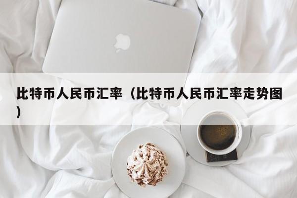 比特币人民币汇率(比特币人民币汇率走势图)