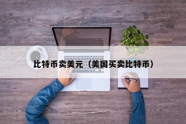 比特币卖美元(美国买卖比特币)