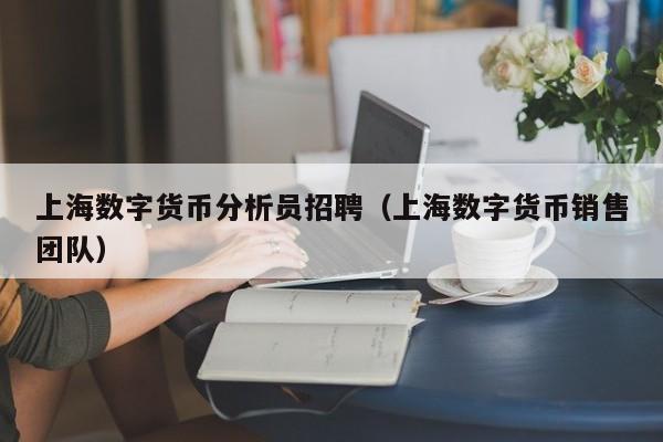 上海数字货币分析员招聘(上海数字货币销售团队)