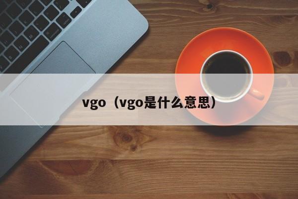 vgo(vgo是什么意思)