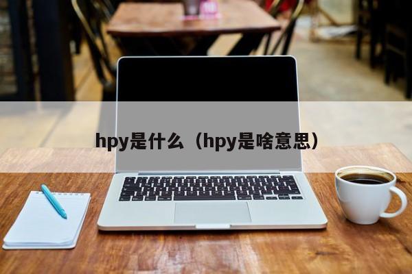 hpy是什么(hpy是啥意思)