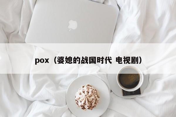 pox(婆媳的战国时代 电视剧)